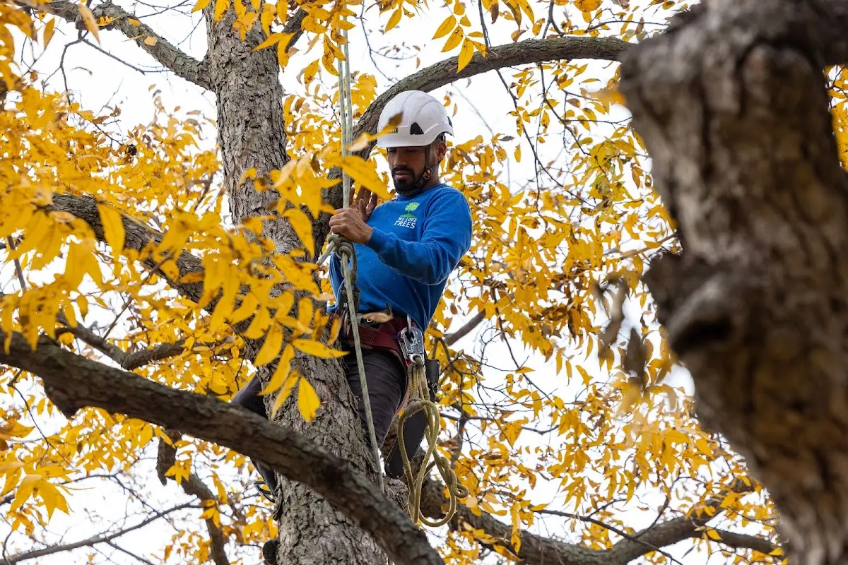 Skilled Storm Damage Cleanup crew working in Henniker